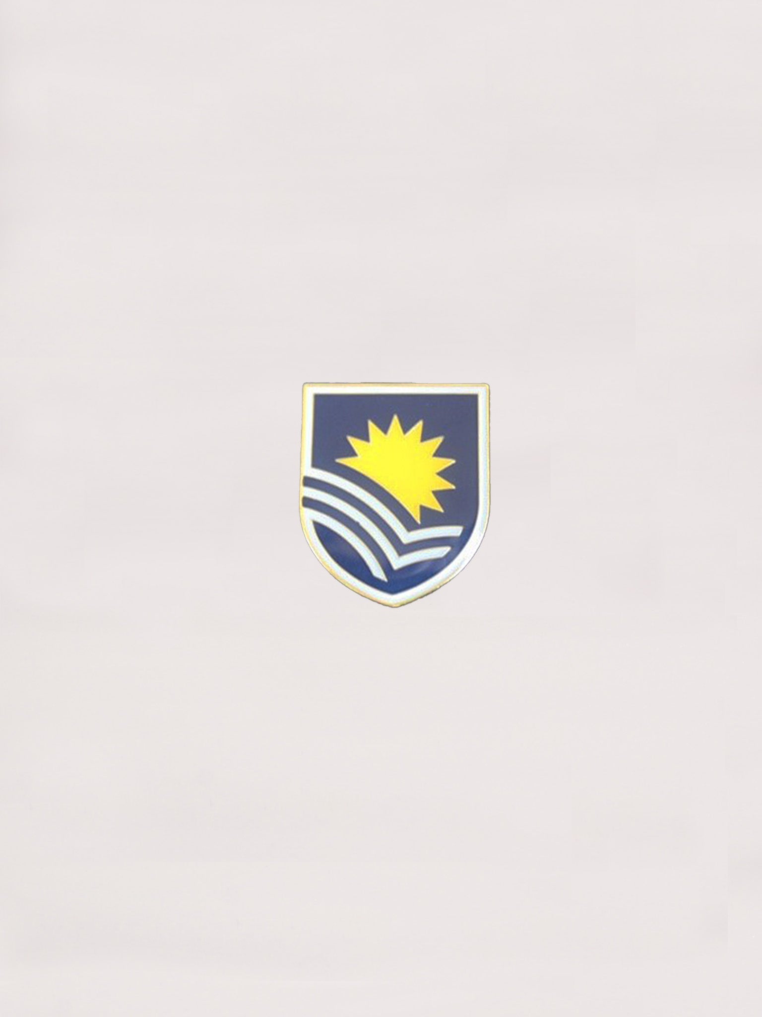 Lapel Pins - small coloured