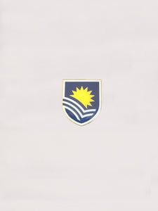 Lapel Pins - small coloured