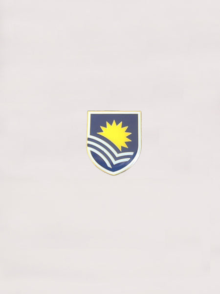 Lapel Pins - small coloured